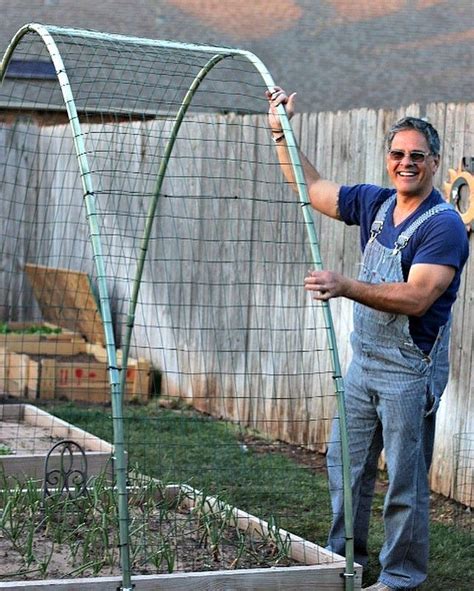 How To Build A Winter Squash Arch Dishin And Dishes Vertical