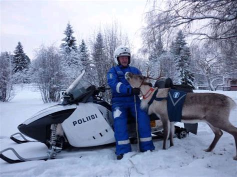 A Finnish Police Man With His Police Reindeer