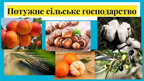 Презентація "Туреччина"