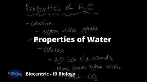 Properties Of Water Ib Biology Unit 2 2 Youtube