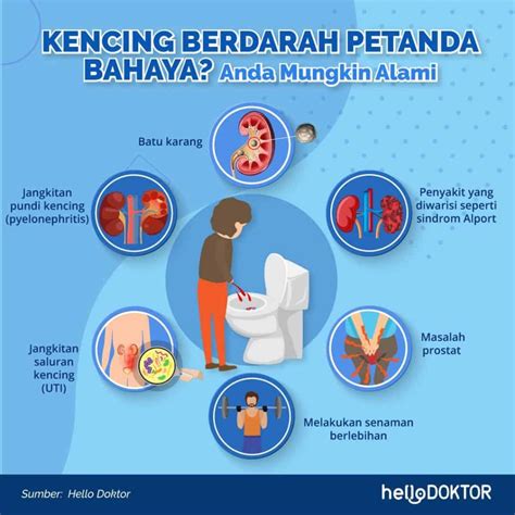 Kencing Berdarah Hematuria Penyakit Ureter Dan Glomerulonefritis