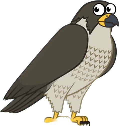 Peregrine Falcon By Aalojado On Deviantart