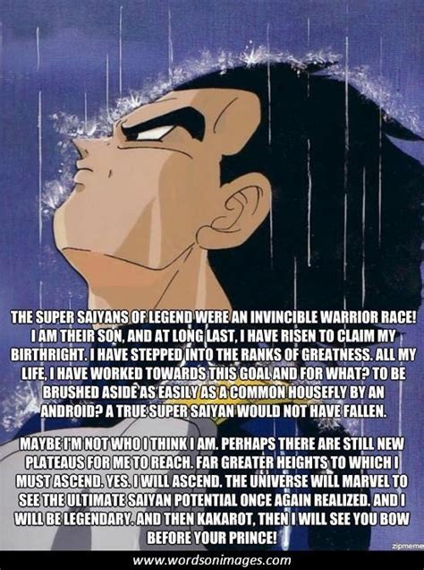 Dragon Ball Z Vegeta Quotes Quotesgram