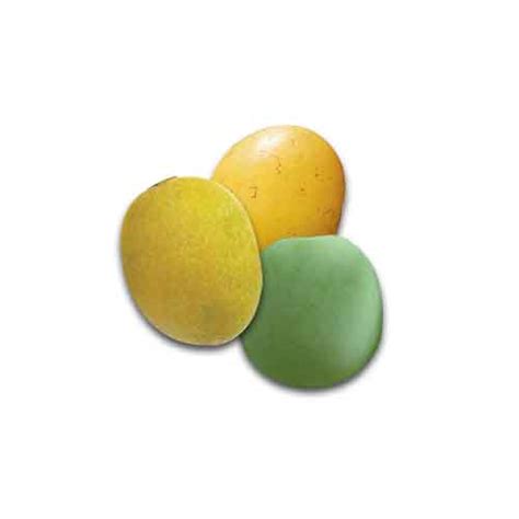 Marula Fruit | Nutrition facts-Marula Fruit | Health benefits