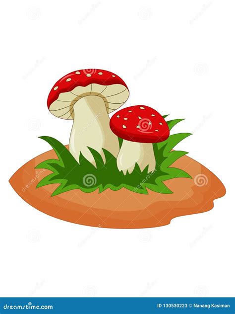 Vector Mushroom On White Background Stock Vector - Illustration of cartoon, mushrooms: 130530223