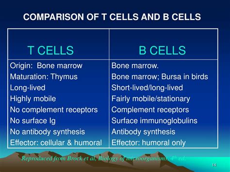 Ppt Specific Adaptive Immunity Powerpoint Presentation Free