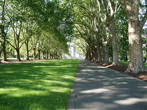 Free Stock Photo Park Trees Nature Buildings Free Image On