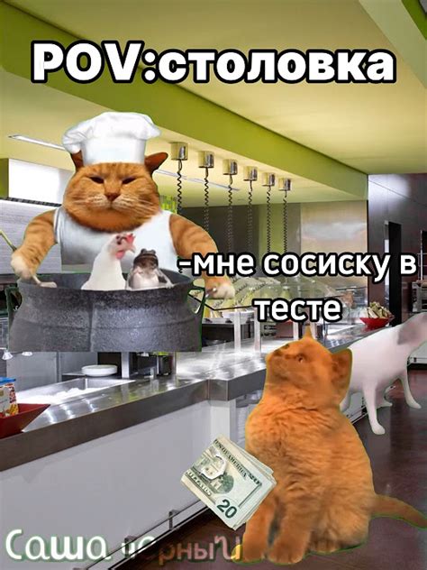 У нас в началке всегда булку забирали🥪🍵 #мемныекоты #кот #врекомендации ...