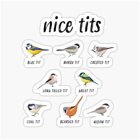 Funny Nice Tits Bird Watching Gift For Birder Men Women Sticker By YanJing Redbubble