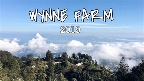 A Day At Wynne Farm 2019 Kenscoff Haiti Youtube