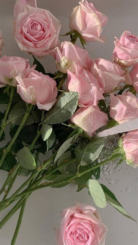 Pin by Ксения Че on Pink | Flower aesthetic, Pink flowers, Flowers