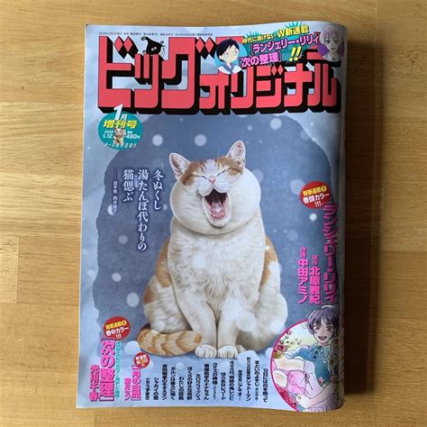 小学館 ビッグコミックオリジナル 増刊号 2024年 1 12号 [雑誌]の通販 By こりらっくま S Shop｜ショウガクカンならラクマ