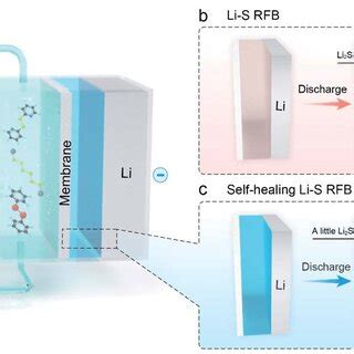 A Schematic Illustration Of A Self Healing Li S RFB With Two Storage