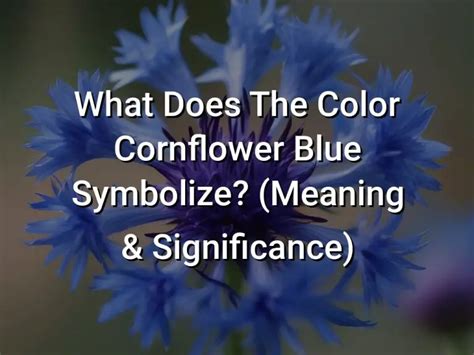 What Does The Color Cornflower Blue Symbolize Meaning Significance