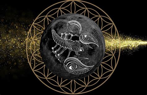 New Moon November Spiritual Meaning Hailee Sheelah