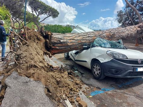 Tragedia Sfiorata A Posillipo Albero Crolla Su Furgone Doveva Essere