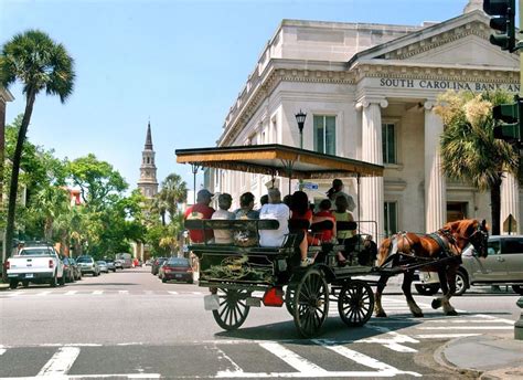 Things To Do In Charleston Tours Style Unicorn