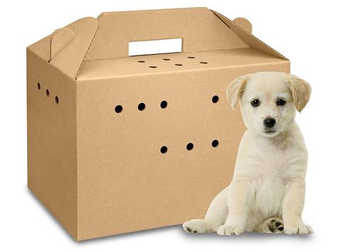 Cardboard Cat Carriers Cardboard Pet Carriers In Stock Ulineca