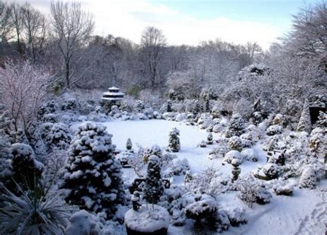 OddFuttos, When The Photos Speak: Incredible Four Seasons Garden Photos