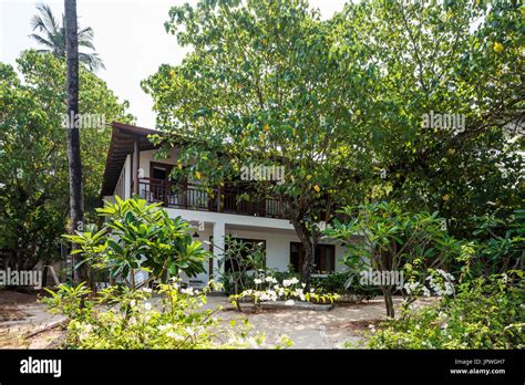 Mediterranean House With Trees Stock Photo Alamy