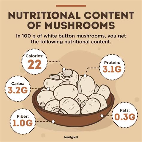 Dietitian Explains Why Mushrooms Help With Muscle Growth