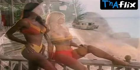 Donna D Errico Breasts Bikini Scene In Baywatch Donna D Errico Donna DErrico Tnaflix