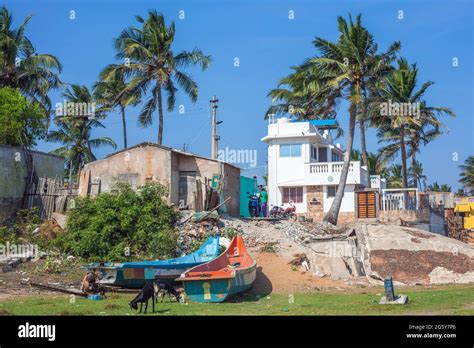 Fishing Boats Palm Trees And Idyllic Home Beneath Blue Sky Beside