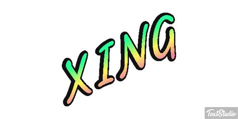 Xing Sosyal Ağ Animasyonlu  Logo Tasarımları