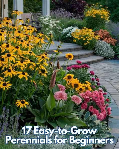 Easy To Grow Perennials For Beginner Gardeners