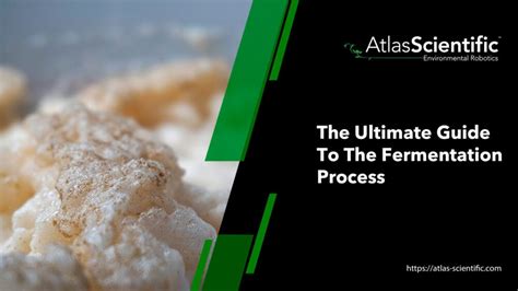 The Ultimate Guide To The Fermentation Process | Atlas Scientific