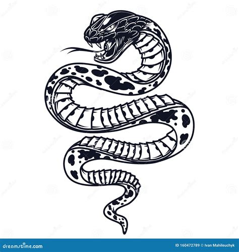 Vintage Poisonous Snake Template Stock Vector Illustration Of