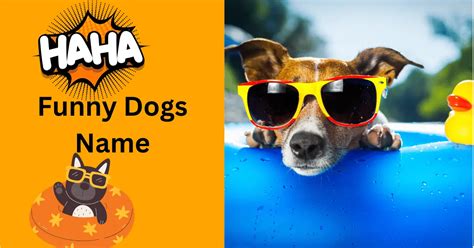 215 Top Summer Dog Names That Capture The Sunny Vibes Of The Season