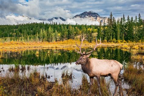 Kanada Rundreise Im Westen H Hepunkte Skr Reisen