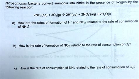 SOLVED: Nitrosomonas bacteria convert ammonia into nitrite in the presence of oxygen by the ...