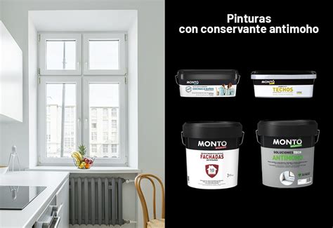 Qué es realmente la pintura con conservante antimoho Montó Bricolovers