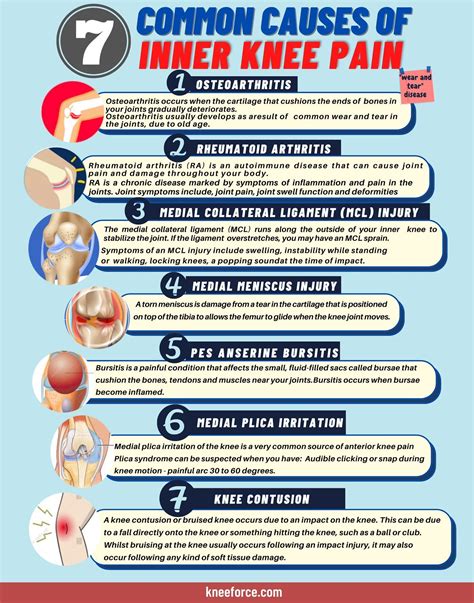 Knee Pain Diagnosis Chart A Comprehensive Guide – NBKomputer