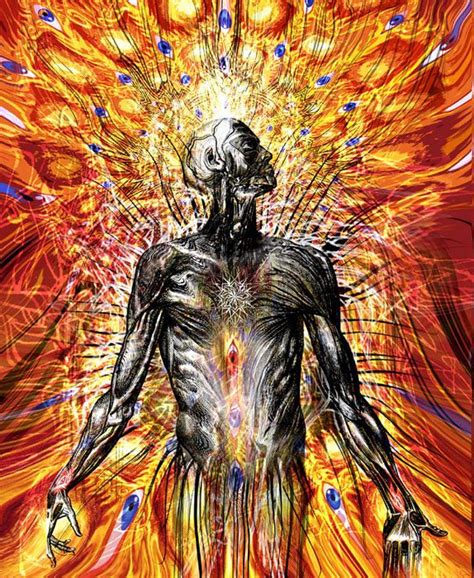 Tool Lateralus Album Artwork