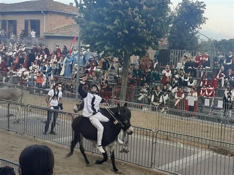 Palio Dei Somari Vince Il Cobra