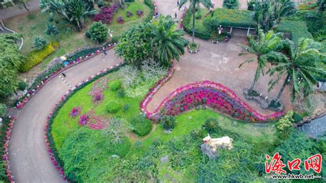 花意盎然迎新春 近10万盆鲜花布景扮靓海口双园（组图） 海口网