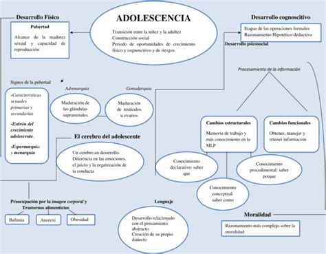 Las teorías psicológicas de la adolescencia Esquemas y mapas