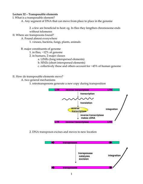 Lecture 32 – Transposable elements I. What is a transposable