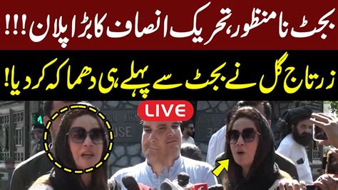 Live Pti Leader Zartaj Gul Media Talk Gnn Youtube