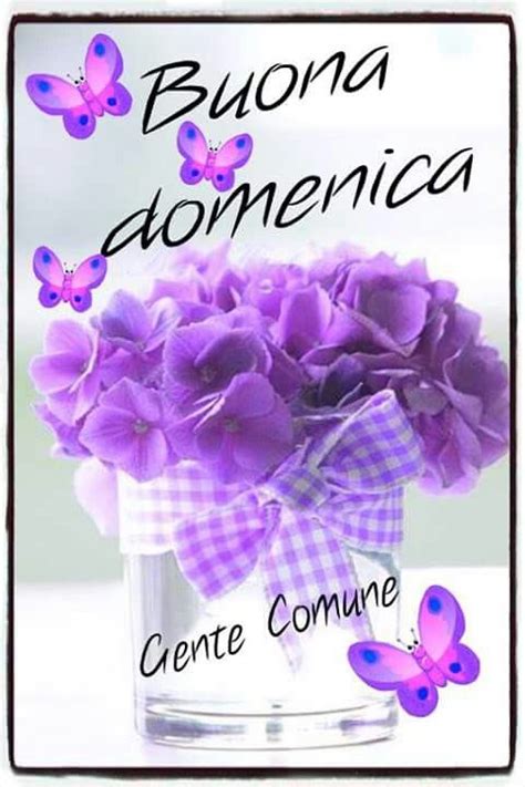 Buona domenica (con immagini) | Buona domenica, Domenica