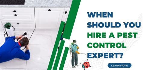 When Should You Hire A Pest Control Expert Dr Pest Control