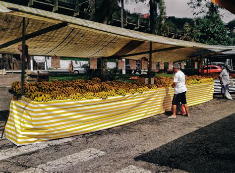 Picture of Banana Stand — Free Stock Photo