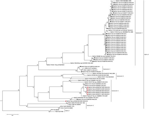 Phylogenetic Tree Of A Alphacov And B Betacov Partial Rdrp Gene