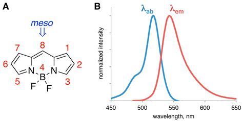 Biosensors Free Full Text BODIPY Dyes As Probes And Sensors To