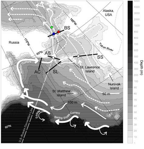 Schematic Of Mean Circulation In The Bering Sea After Coachman 1993 Download Scientific