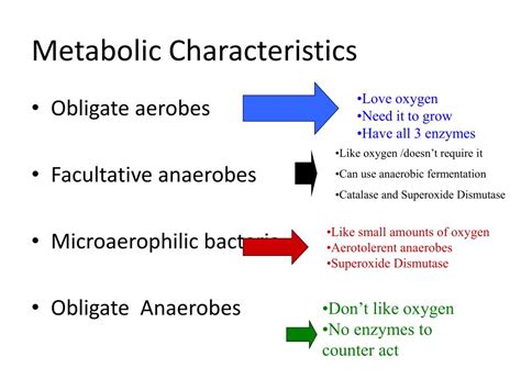 PPT Gram Positive Purple Blue PowerPoint Presentation Free