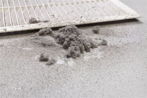 Here Are Some Common Types Of Mold Found In Air Ducts